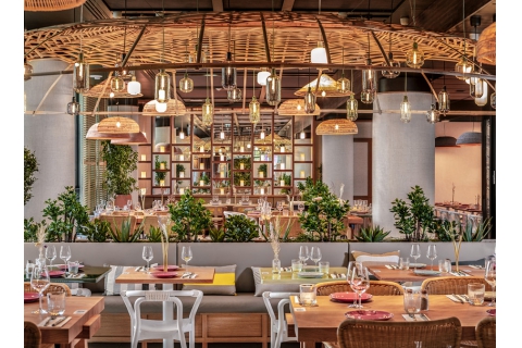  深圳的餐飲家具批發(fā)廠家，餐桌椅子批發(fā)市場在哪里？